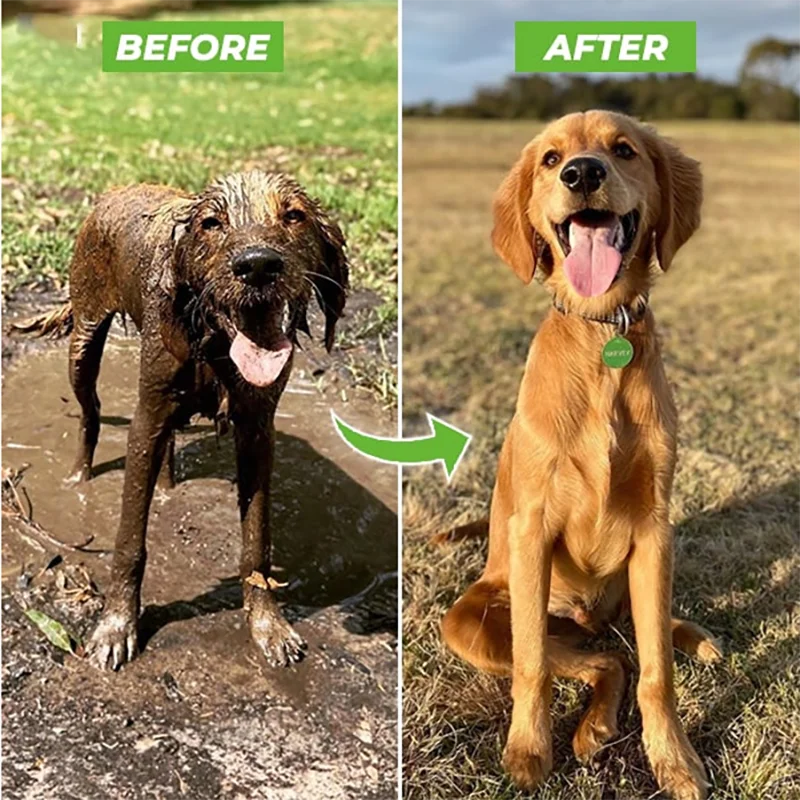 PowerRinse Pet Sprayer